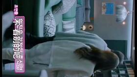 吃瓜吃到自己身上的网红,网红的华丽转身