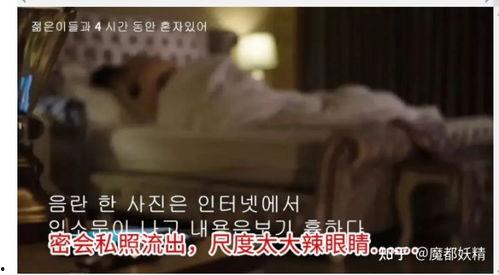 网红明星的瓜在哪吃