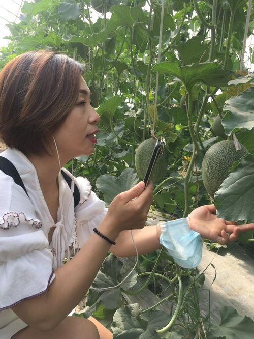 新疆吃瓜网红叫什么名子