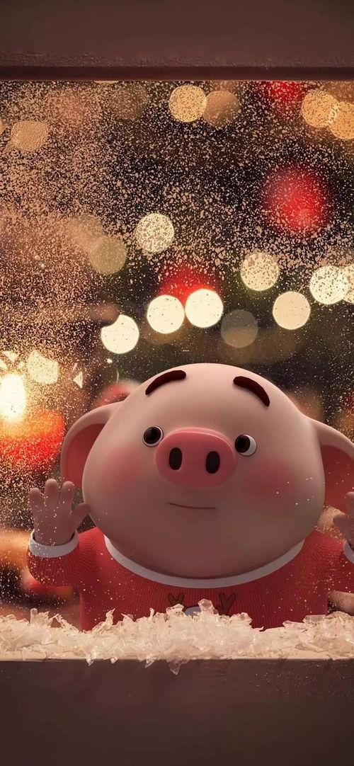 抖音网红粉色的猪吃瓜,揭秘网红圈幕后故事